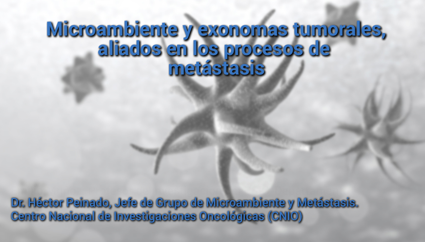 Microambiente y exosomas tumorales, aliados en los procesos de metástasis
