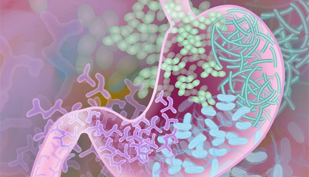 Identificados dos tipos de bacterias del intestino que están relacionados con la depresión