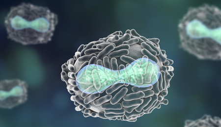 Descubren un nuevo mecanismo de regulación inmune utilizado por los virus