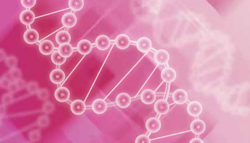 Priorización de recursos en el Sistema Nacional de Salud, el caso de la inversión en Onco- Hematología