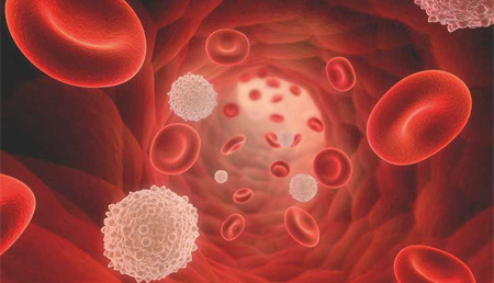 Los genes revelan información clave para desarrollar tratamientos personalizados contra la sepsis